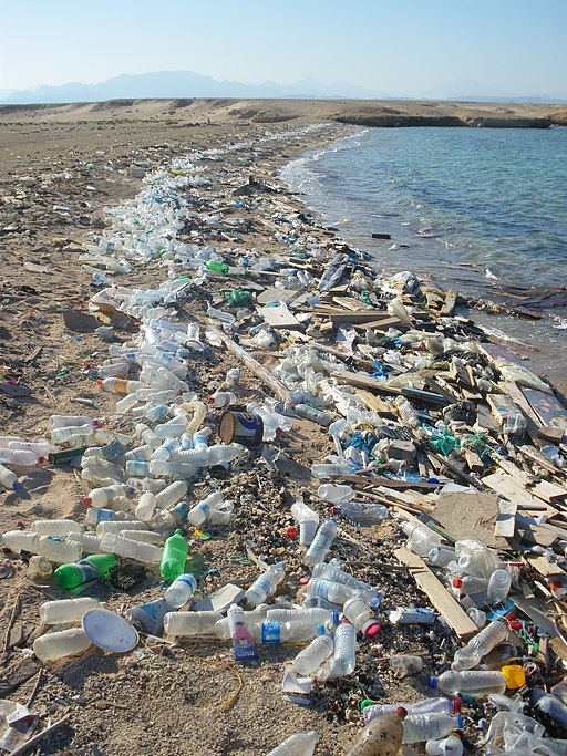 Beach in Sharm el-Naga03