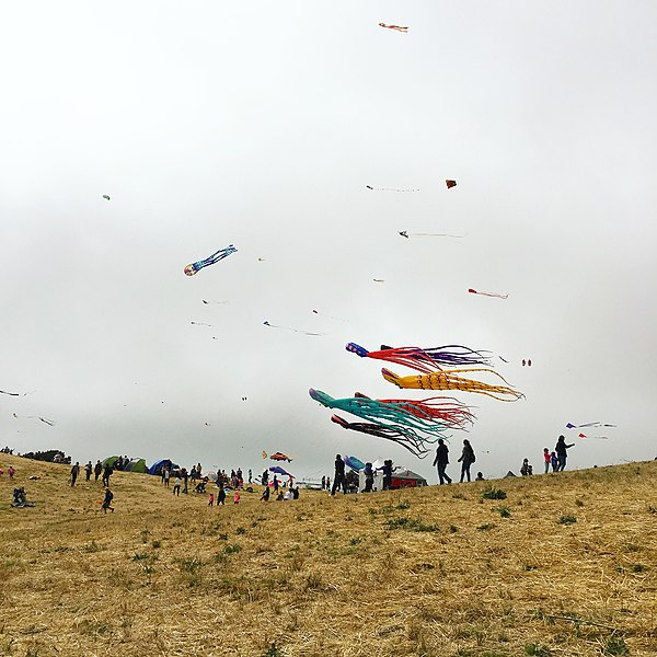 File:Berkeley Kite Festival.jpg