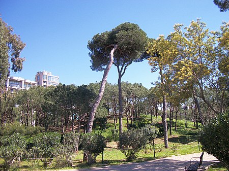 Beyrouth bois des pins 02.jpg