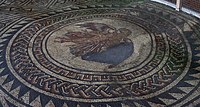 3х65 ТГ, мозаика, музей Bignor Roman Villa, Суссекс