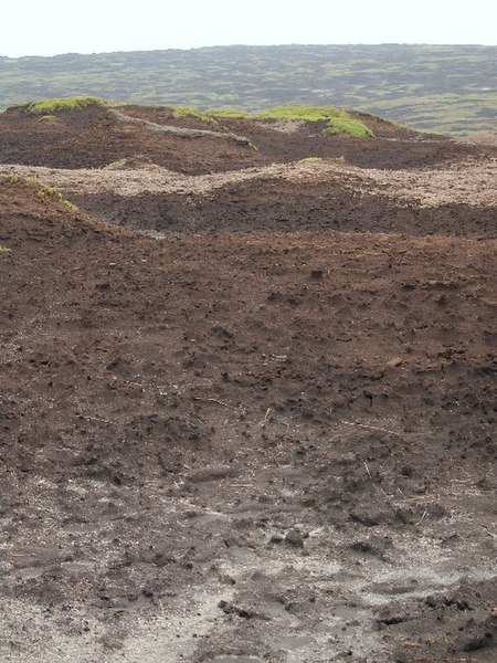 File:Bleaklow Peat Hags - geograph.org.uk - 76505.jpg