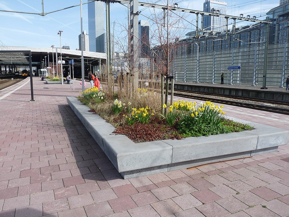 Railway platform