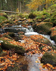 The Große Bode (headstream of the Warme Bode) above Braunlage