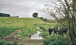 A view of the Brackenburn at Little Alton, with Hillhead Wood in the background Brackenburn.jpg