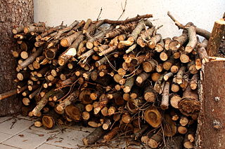 Firewood wood used for fires