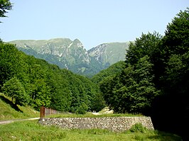 Nationaal park Buila-Vânturarița