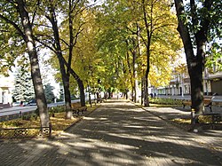 Бульвар на проспекте Мира, Владикавказ, Северная Осетия