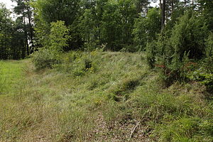 Burgstall Racklburg - Ansicht des Abschnittswalles (August 2013)