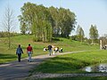 Miniatura Ogród Botaniczny Leśnego Parku Kultury i Wypoczynku „Myślęcinek”