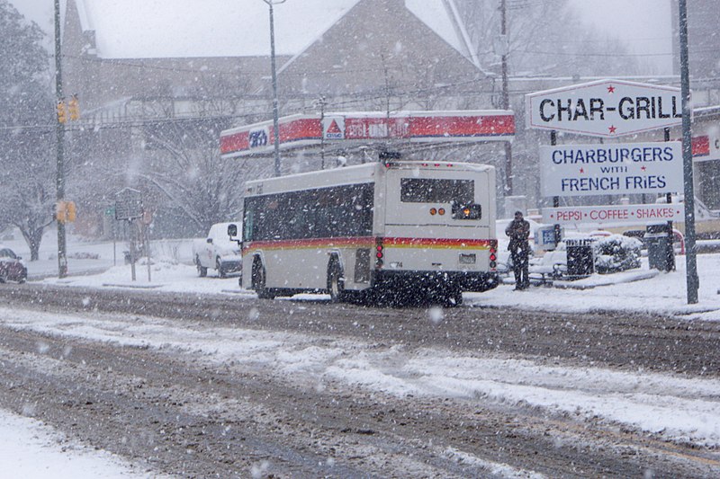 File:CAT BUS Snowy Day.jpeg