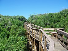 travel to new smyrna beach