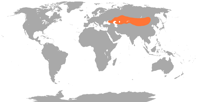 File:Camelus bactrianus distribution map.png