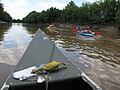 Canoeing the Obion River.jpg