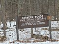 Carmean Woods State Nature Preserve.jpg