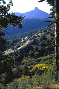 Transitional area between the Cascade Range and the Siskiyou Mountains in Oregon