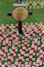 Poppy crosses for the fallen, Belfast Cenotaph.
