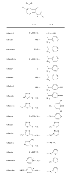 File:Cephalosporins Generation1.svg