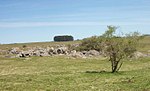 Miniatura para Paisaje protegido Localidad Rupestre de Chamangá