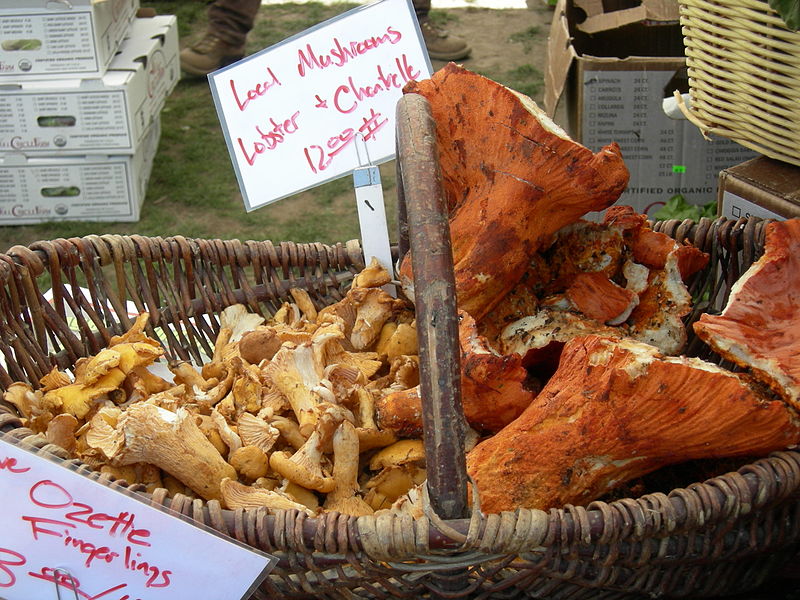 File:Chanterelle and lobster mushrooms.jpg