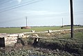China-1978 Field levelled by hand Paul Burns.jpg