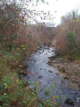 Cladagh River in Cladagh Glen, County Fermanagh