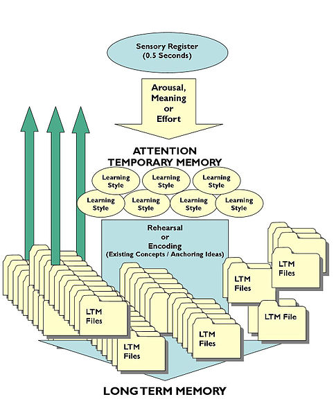 File:CogInfoProcessingMI 09.10.07.jpg