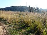 ]] (Vallès Occidental, Baix Llobregat, Barcelonès) (Sant Cugat del Vallès, Barcelona, Cerdanyola del Vallès i altres). This is a a photo of a natural area in Catalonia, Spain, with id: ES510066 Object location 41° 26′ 24″ N, 2° 06′ 36″ E  View all coordinates using: OpenStreetMap