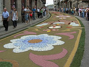 Alfombras do Corpus Christi 2009 (Ponteareas)