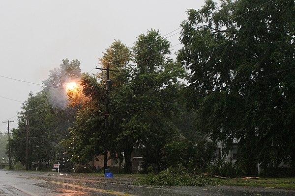 Tree limbs cause a short circuit, triggering an electrical arc during a storm.