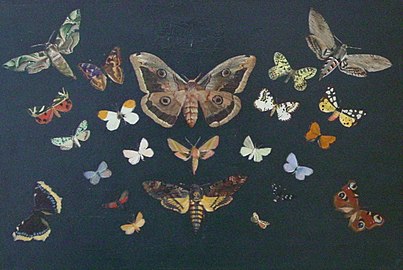 "Schmetterlinge" (ungar.: Pillangók), Öl auf Karton 1893,