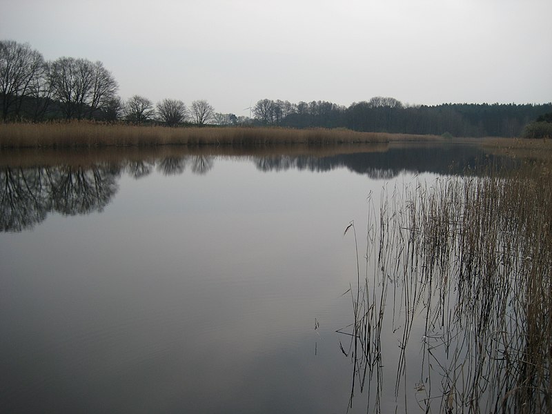 File:DAV - Gewässer bei Trebbin - Talgraben - panoramio (1).jpg