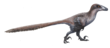 Deinonychus ewilloughby (çevrilmiş) .png