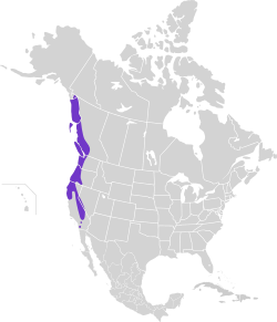Área de distribución de Dendragapus fuliginosus