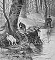 File:Die Gartenlaube (1896) b 0157.jpg Am Fischotterbau Nach einer Originalzeichnung von O. Vollrath