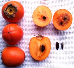 Kaki (Diospyros kaki): vrucht met zaden
