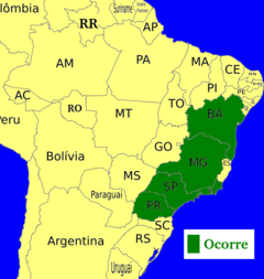 Mapa mostrando ocorrência em Bahia, Minas Gerais, São paulo, Rio de Janeiro e Paraná.