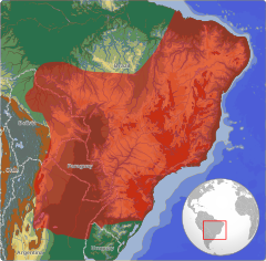 Em vermelho, a distribuição da espécie na América do Sul