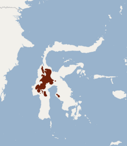 Distribución en la isla de Célebes