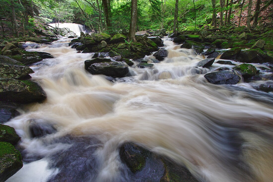 Doane's Falls