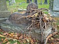 * Nomination There is a statue of a dog named Rex in Green-Wood Cemetery. People have taken to leaving him sticks --Rhododendrites 02:06, 10 November 2020 (UTC) * Promotion  Support Good quality. --XRay 05:55, 10 November 2020 (UTC)