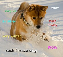 An example of a Doge meme Doge meme example.jpg