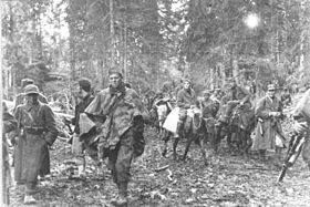 2-я Пролетарская дивизия в походе через Зеленгору в битве на Сутьеске, июнь 1943