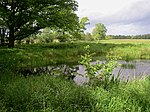 Duvenstedter brook im stehorn pott 1.jpg