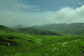 Dzüko Valley