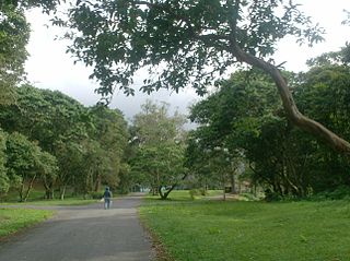 <span class="mw-page-title-main">Yacambú National Park</span> National park in Venezuela