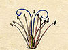 Ehret-Methodus Plantarum Sexualis-K.jpg