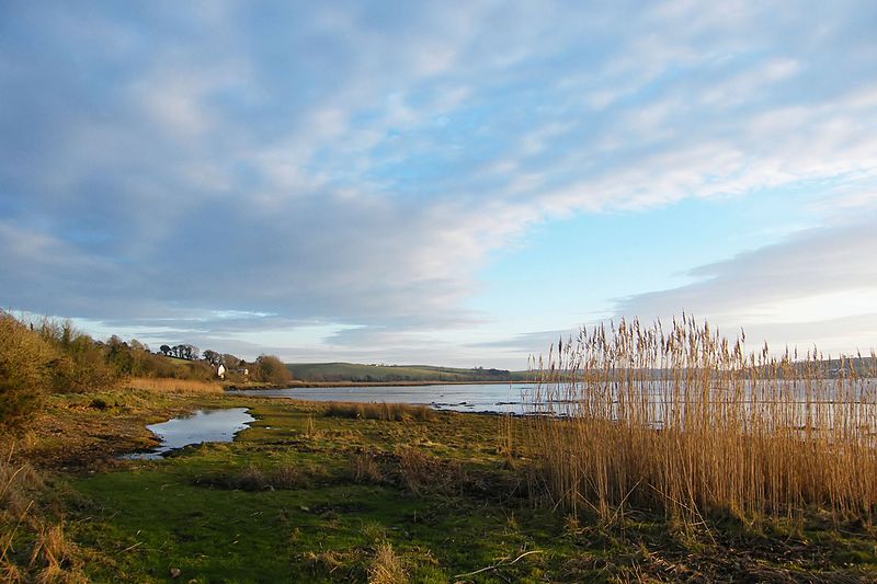 File:Estuary - panoramio (2).jpg