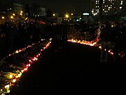 Квіти та свічки. 24 лютого 2014 року