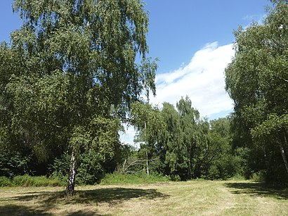 So kommt man zu Riedwiese mit den Öffentlichen - Mehr zum Ort Hier