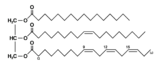 Triglyceride